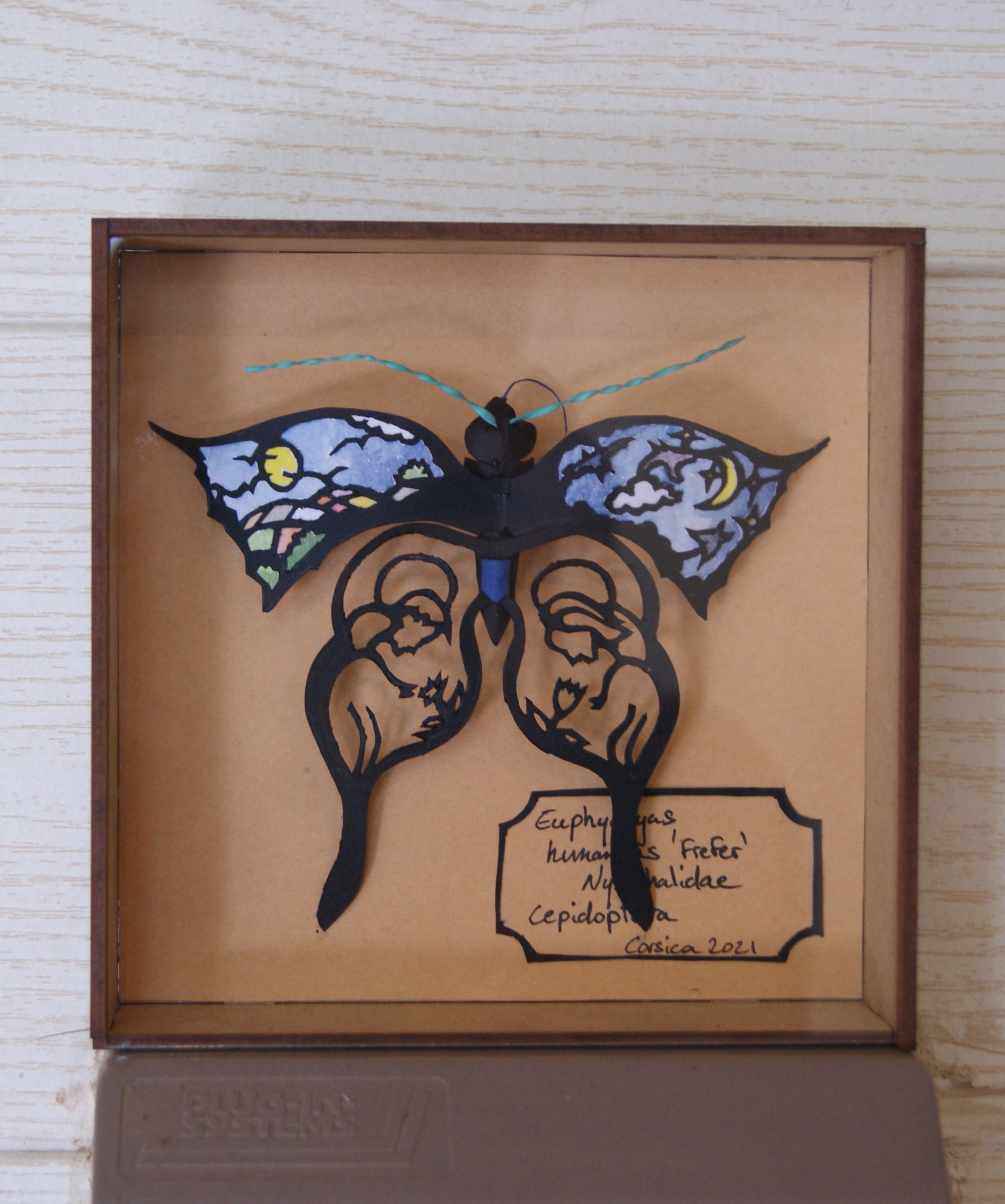 Euphydryas humanis